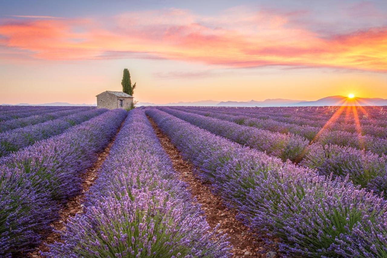 Апартаменты Provence Now Кабриер-д'Авиньон Экстерьер фото